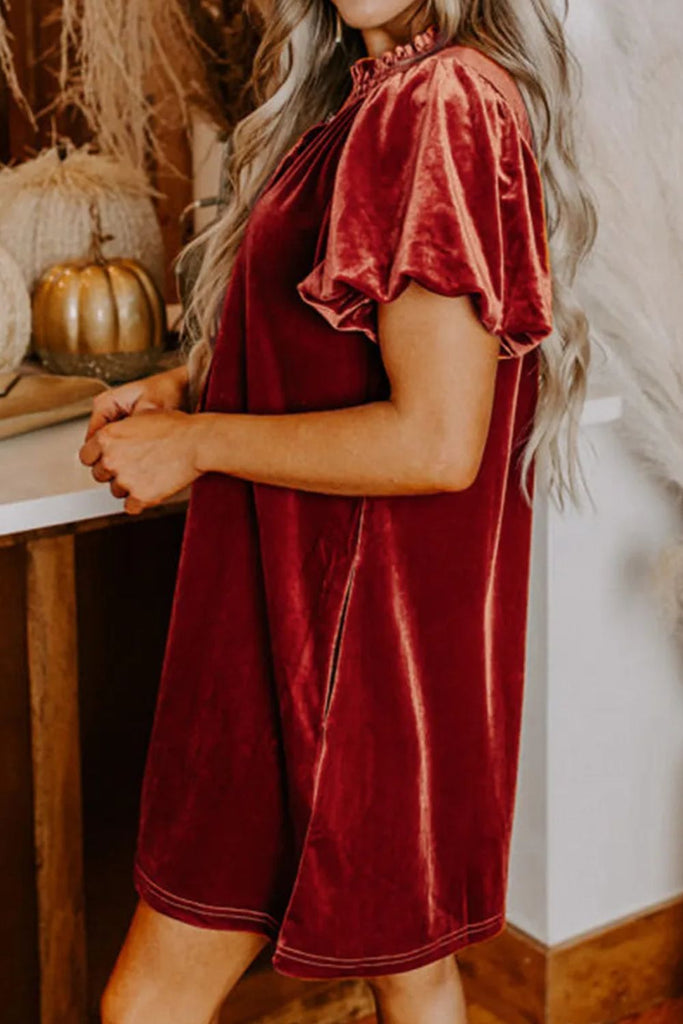 Velvet Tie Neck Short Sleeve Mini Dress Velvet Tie Neck Short Sleeve Mini Dress
