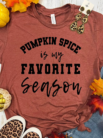 *Preorder* Pumpkin spice