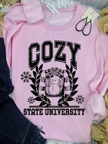 *Preorder* Cozy State University