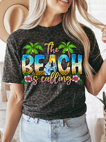 *Preorder* The beach is