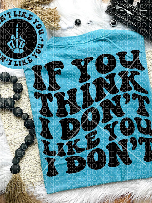 *Preorder* If you think I don’t like you