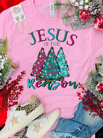 *Preorder* Jesus is the reason Christmas