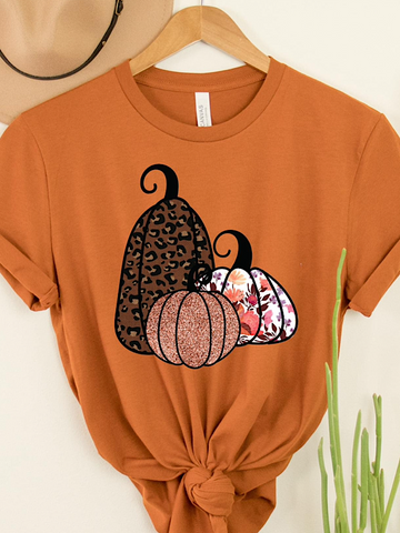 *Preorder* Fall pumpkins