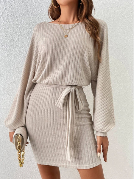 Round Neck Tie Waist Long Sleeve Mini Dress