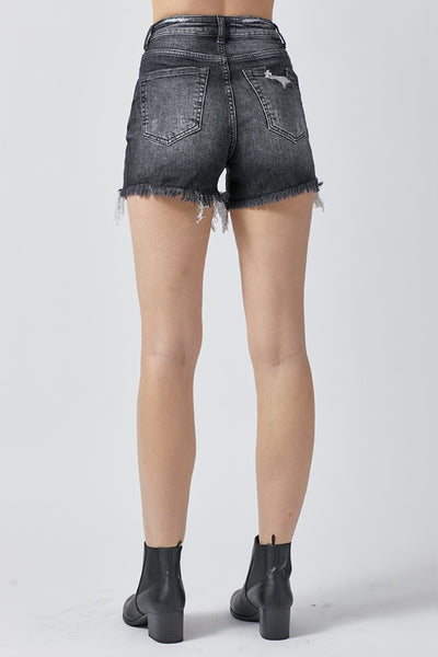 High Rise Distressed Denim Shorts